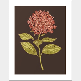 Hydrangea Posters and Art